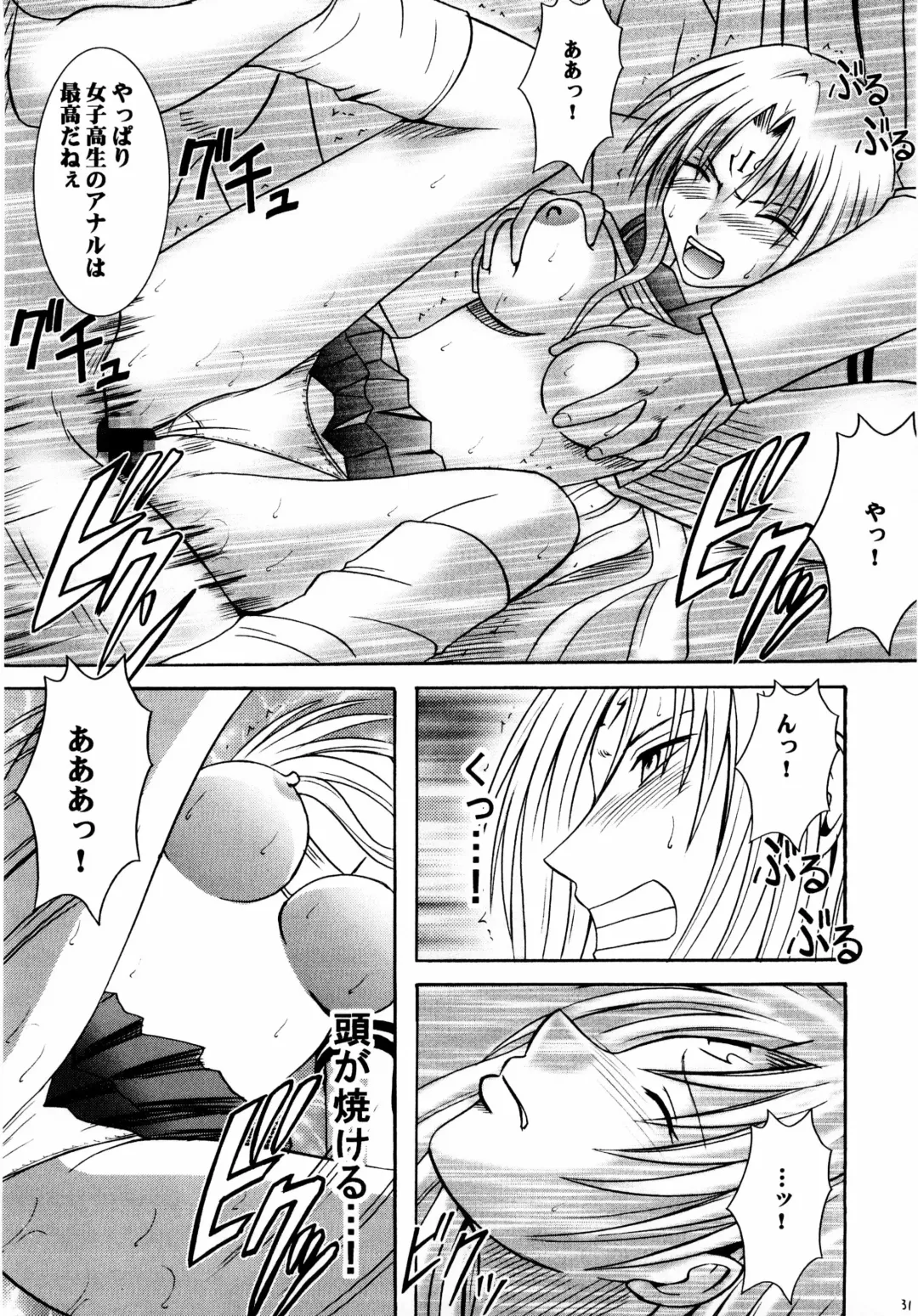 [Crimson] Sephiria Kiwami Fhentai - Page 31