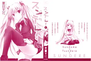 [Natsume Fumika] Sundere! Vol. 01 Fhentai.net - Page 3