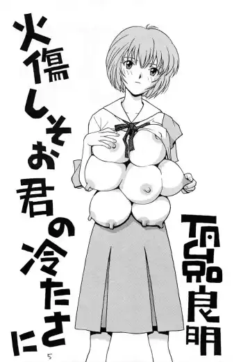 [Tagro] Ayanami Fhentai - Page 4