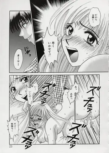 [Gotoh Akira] Erotomania ~Renai Mousou~ Fhentai.net - Page 27