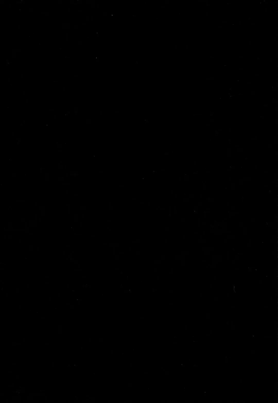 [Tomekichi] Otouto no Tomodachi Fhentai - Page 33