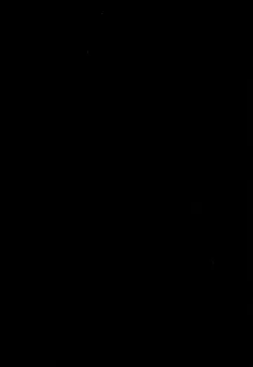 [Tomekichi] Otouto no Tomodachi Fhentai - Page 33