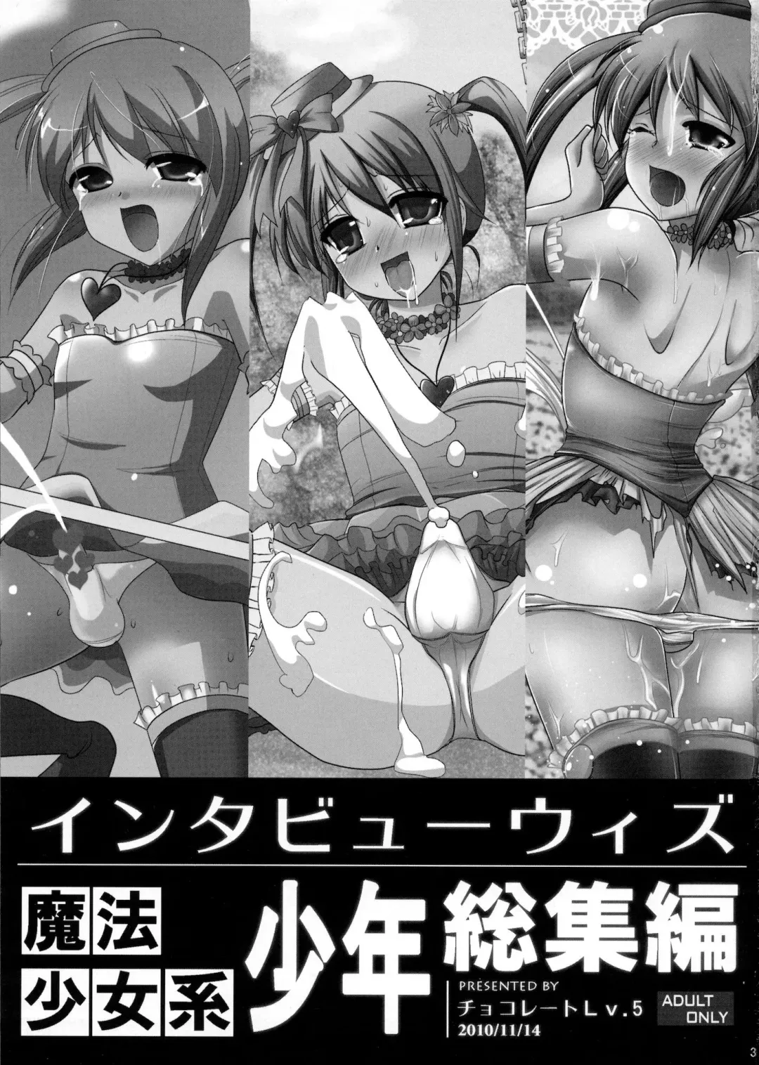 [Dynamite Moca] Interview With Mahou Shoujokei Shounen Soushuuhen Fhentai - Page 2