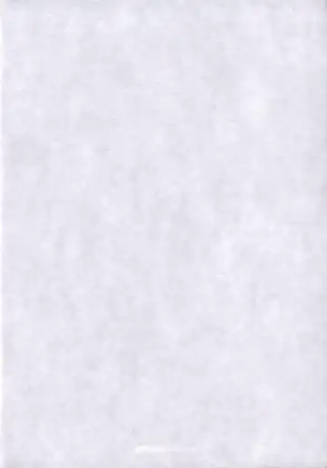 [Kousaka Jun] Eva Nyan Goranshin Fhentai - Page 3