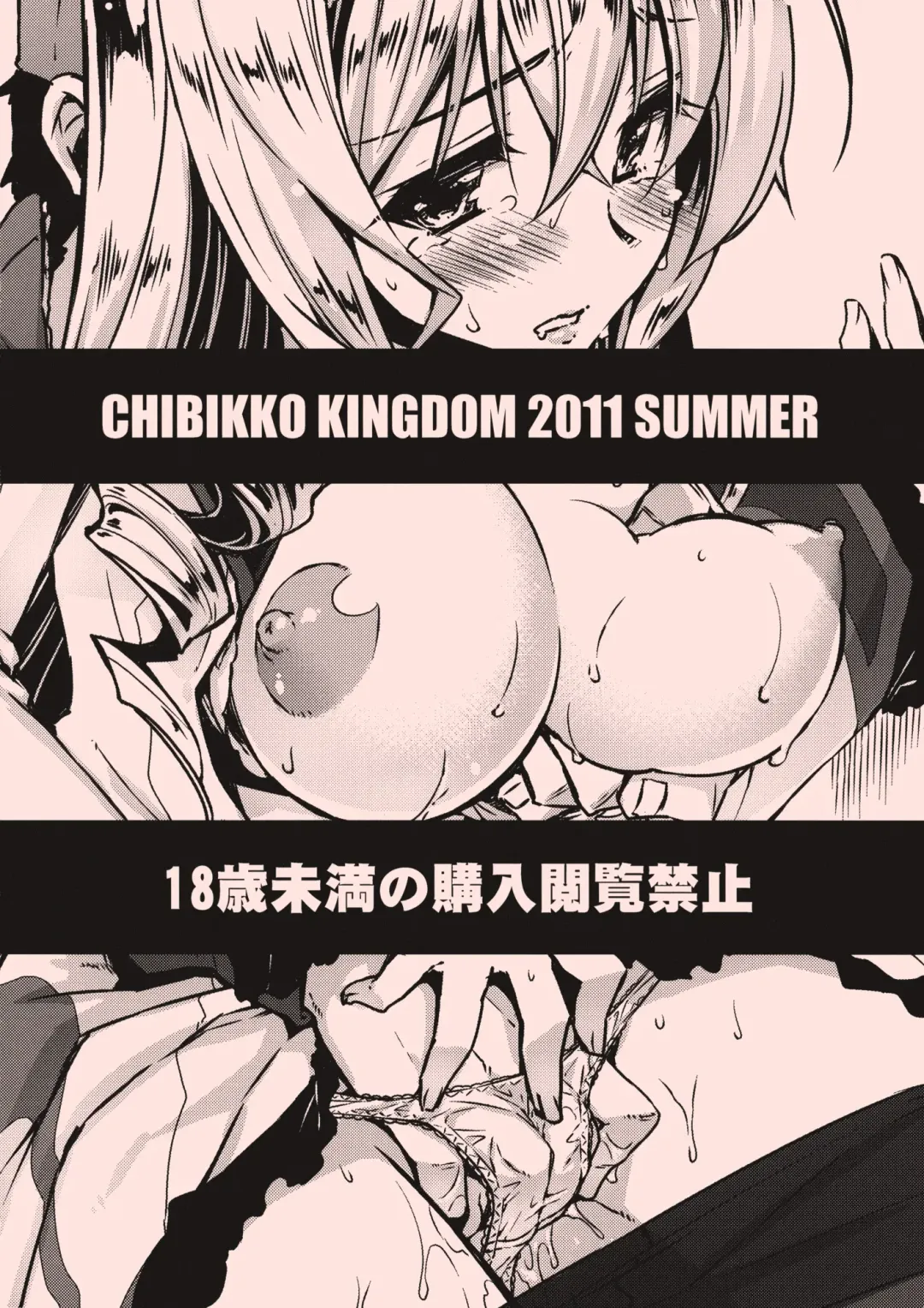 [Kekocha] Cecilia Chou Tokkyuu + IS Ero Uchiwa Fhentai.net - Page 30