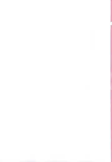 [Kazuma G-version] NANOHA-NANOHA Fhentai - Page 2