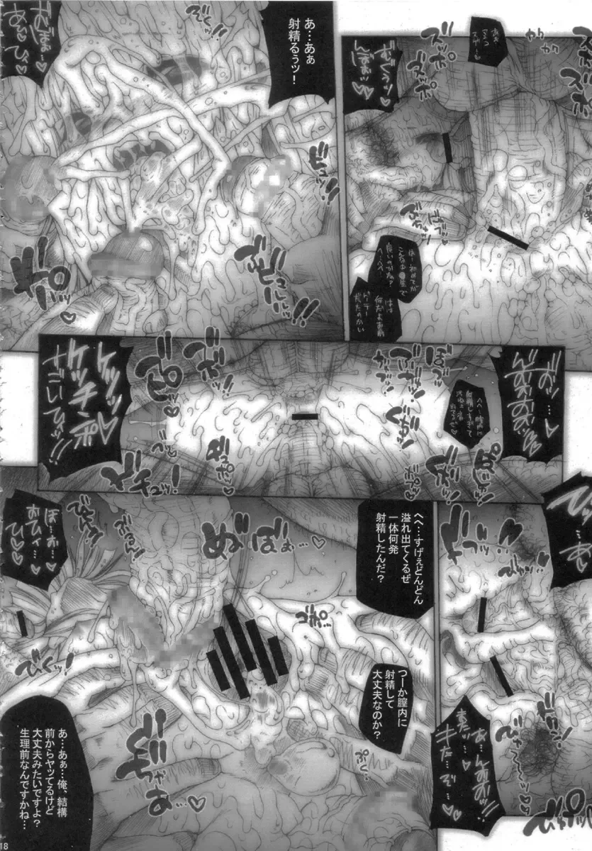 [Erect Sawaru] Empress of Nosferatu Fhentai - Page 18