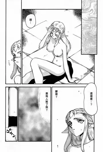 [Taira Hajime] NISE Zelda no Densetsu Shinshou Fhentai.net - Page 8