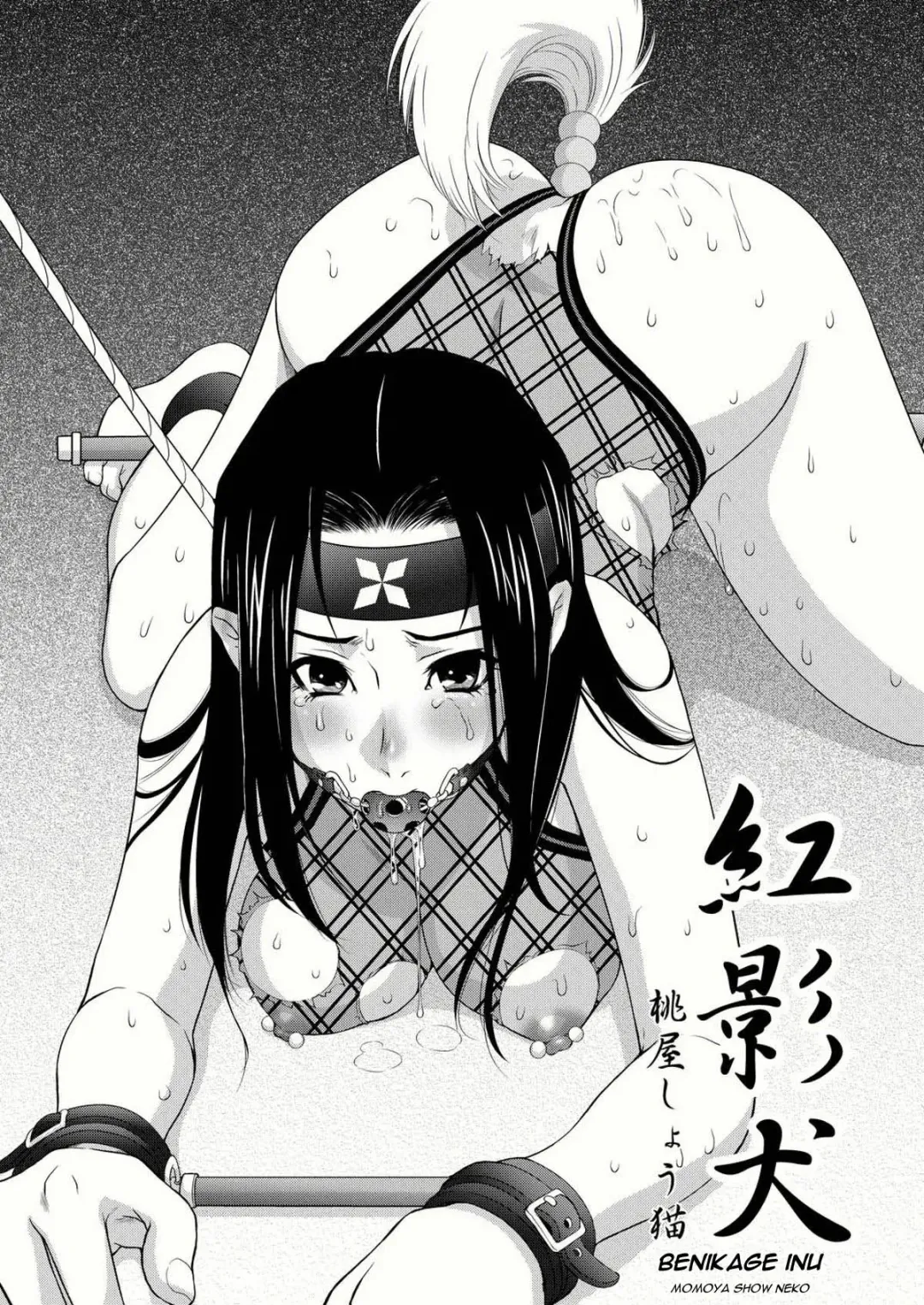 [Momoya Show-neko] Benikage Inu Fhentai - Page 4