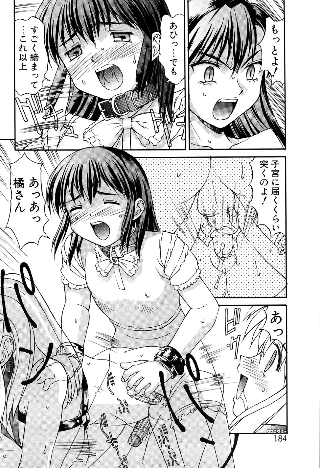 [Mizuyoukan] Haitoku Fhentai - Page 184