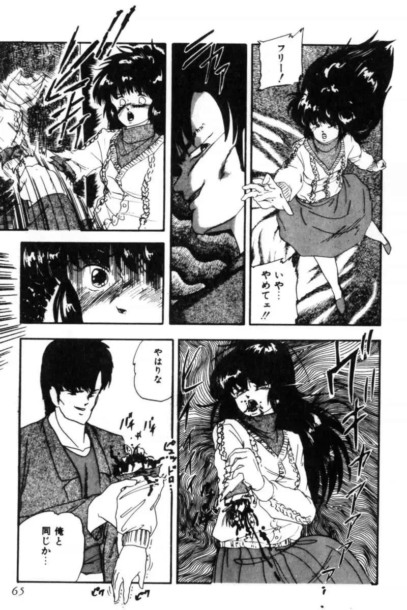 [Kazusa Shima] Slave Hunter Fhentai - Page 68