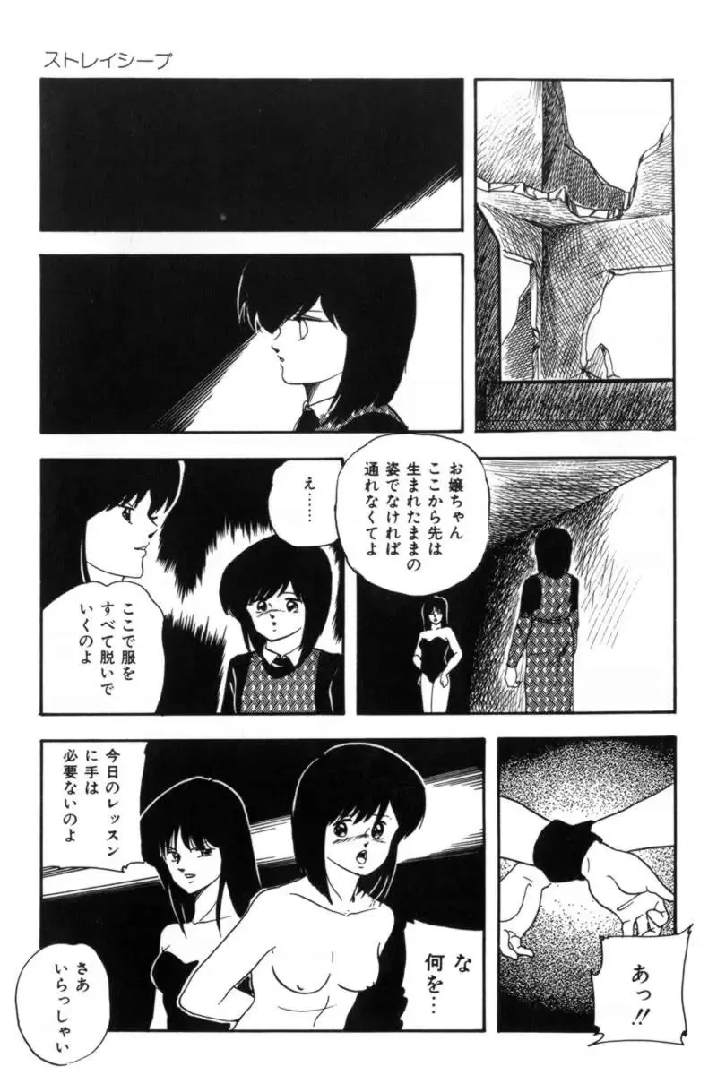 [Kazusa Shima] Slave Hunter Fhentai - Page 82