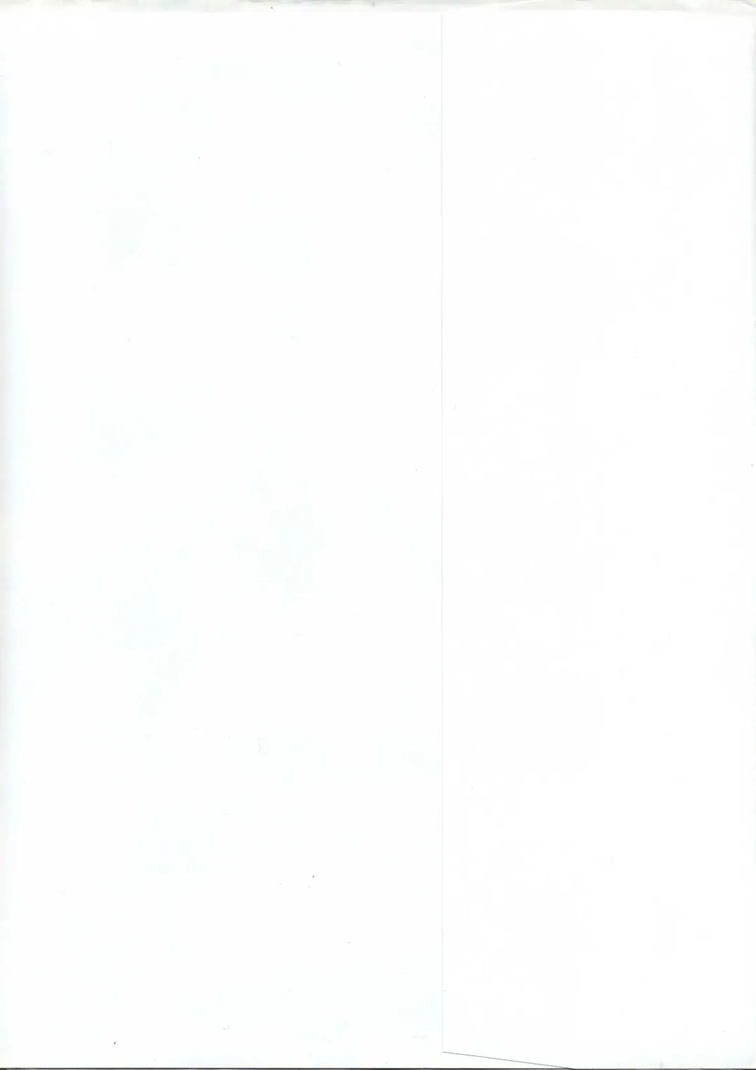 [Ribahara Aki] Elfeana ～ Yoru e to Urareta Oukoku de... ～ original artworks Fhentai - Page 4