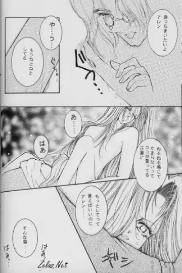 [Anko] Dry x Allen LOVE2 Special Fhentai - Page 17