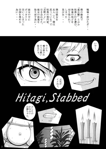[Crack] Hitagi, Stabbed Fhentai - Page 3