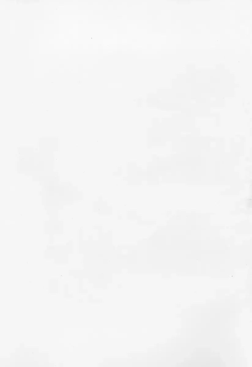 [Mongoloid Ren] Mint Strawberry Fhentai - Page 33