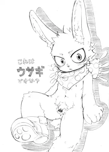 [Kurotsuki Kyouto] Kore Ha Usagi Desuka Fhentai - Page 2