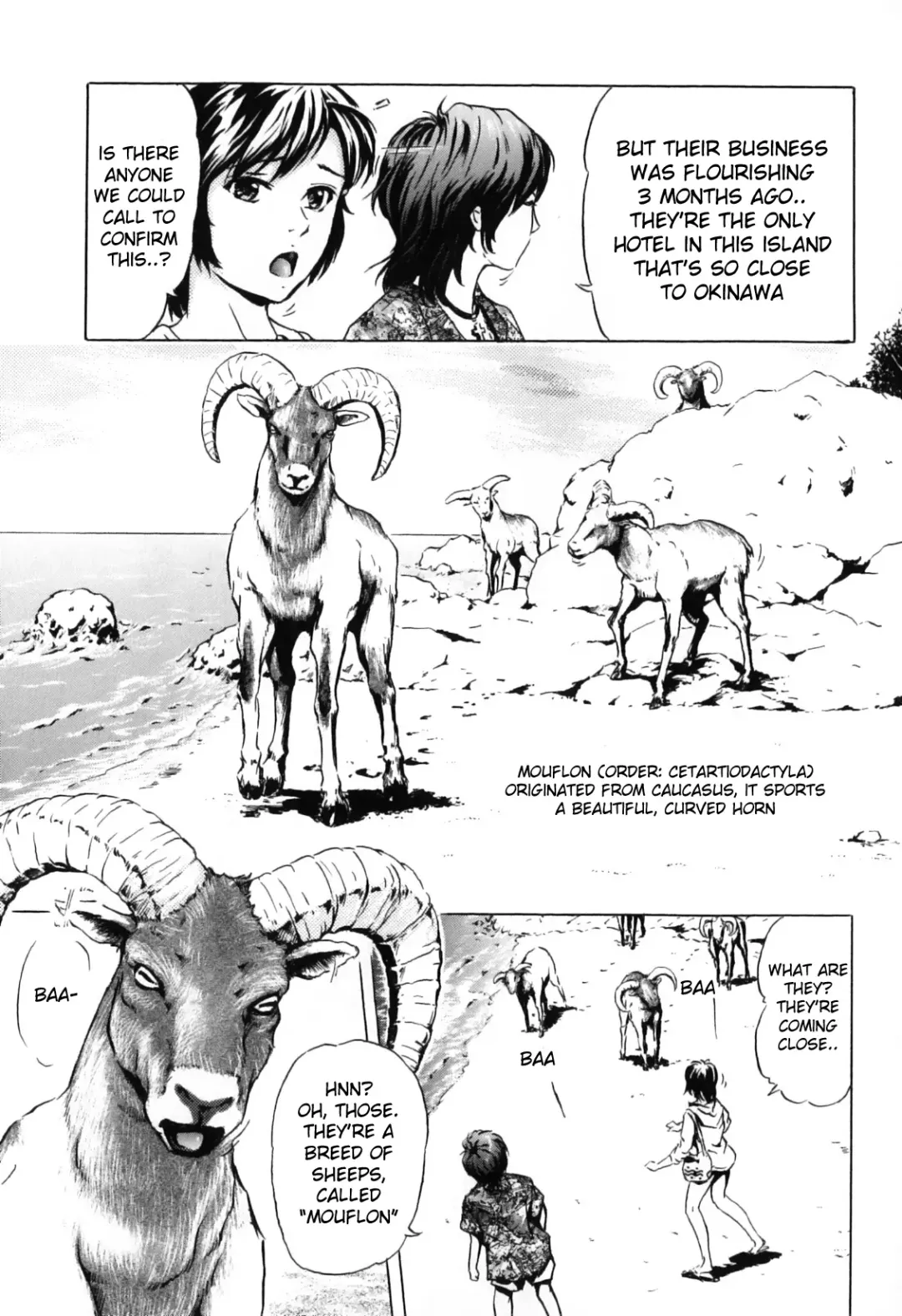 [Ichinose Tsuzuki] Nangoku no Mouflon | Mouflon of the South Fhentai.net - Page 3