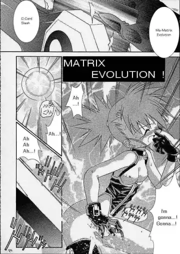 [Murasame Ha] Matrix Evolution! Fhentai - Page 26