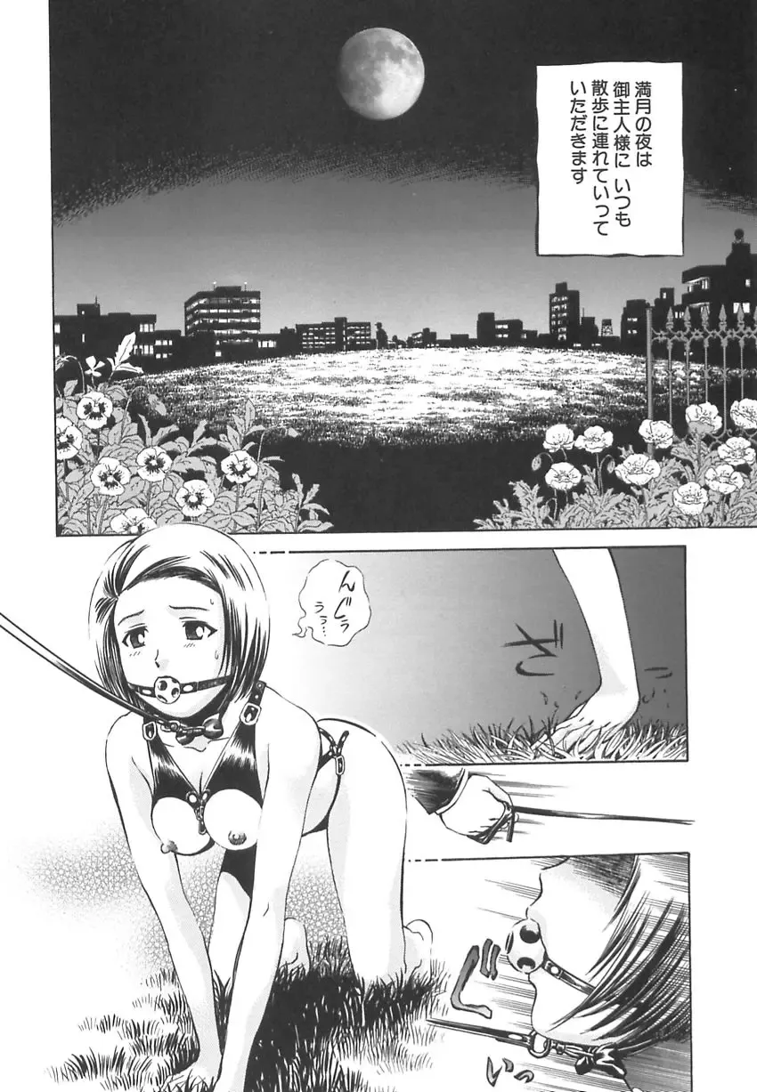 [Persona] Ou-sama to Onna Dorei - The King & Slave Woman Fhentai.net - Page 37