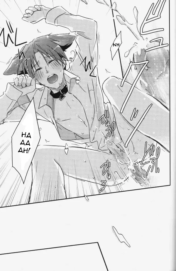 STAMP Vol.8 Fhentai - Page 19