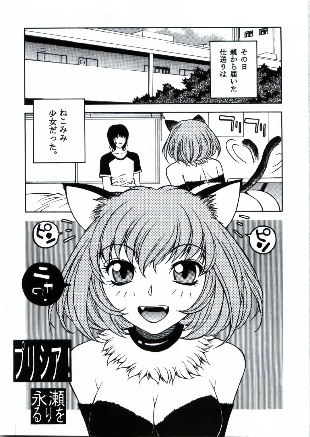 [Coma - Nagase Rurio - Okawari] Custom 1 Nekomimi Custom Fhentai.net - Page 5