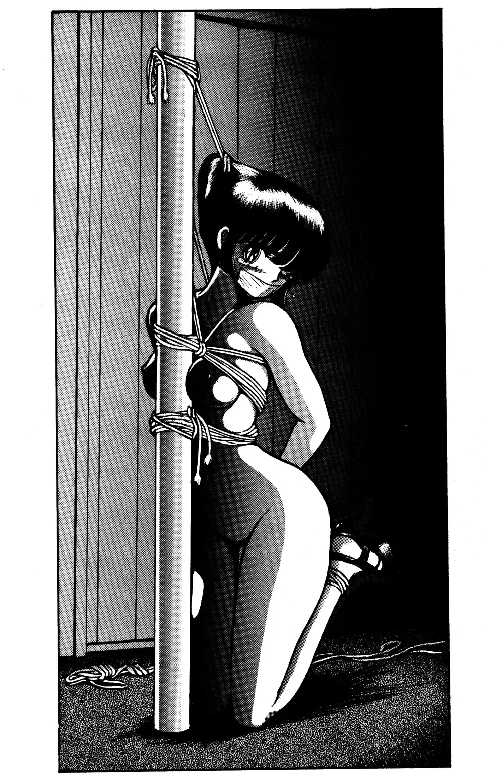 [Sharaku Seiya] SHARAKU SPECIAL Fhentai - Page 8