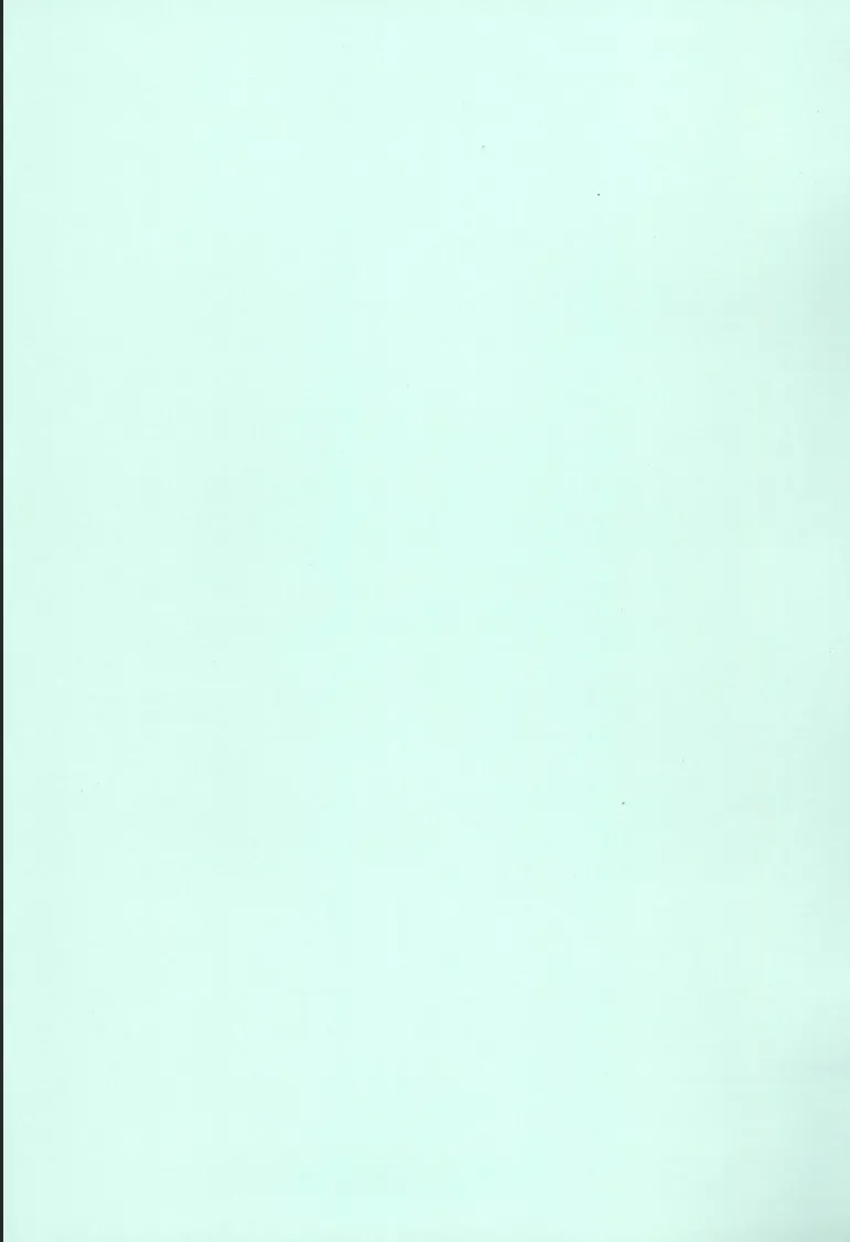 [Bosshi] Radical GOGO Baby! Fhentai - Page 4