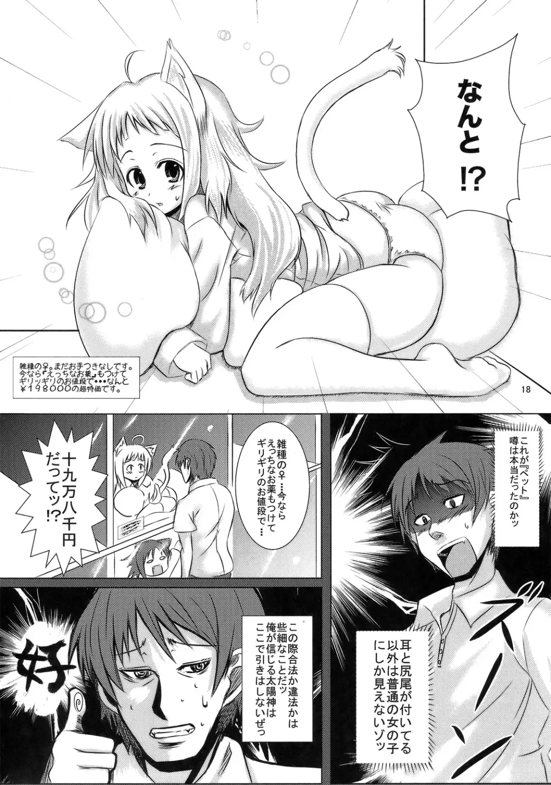 [Sawahira Naoto - Tatsuhiko] Oretachi no Shinjiru Taiyou o Shinjiro! Fhentai - Page 17