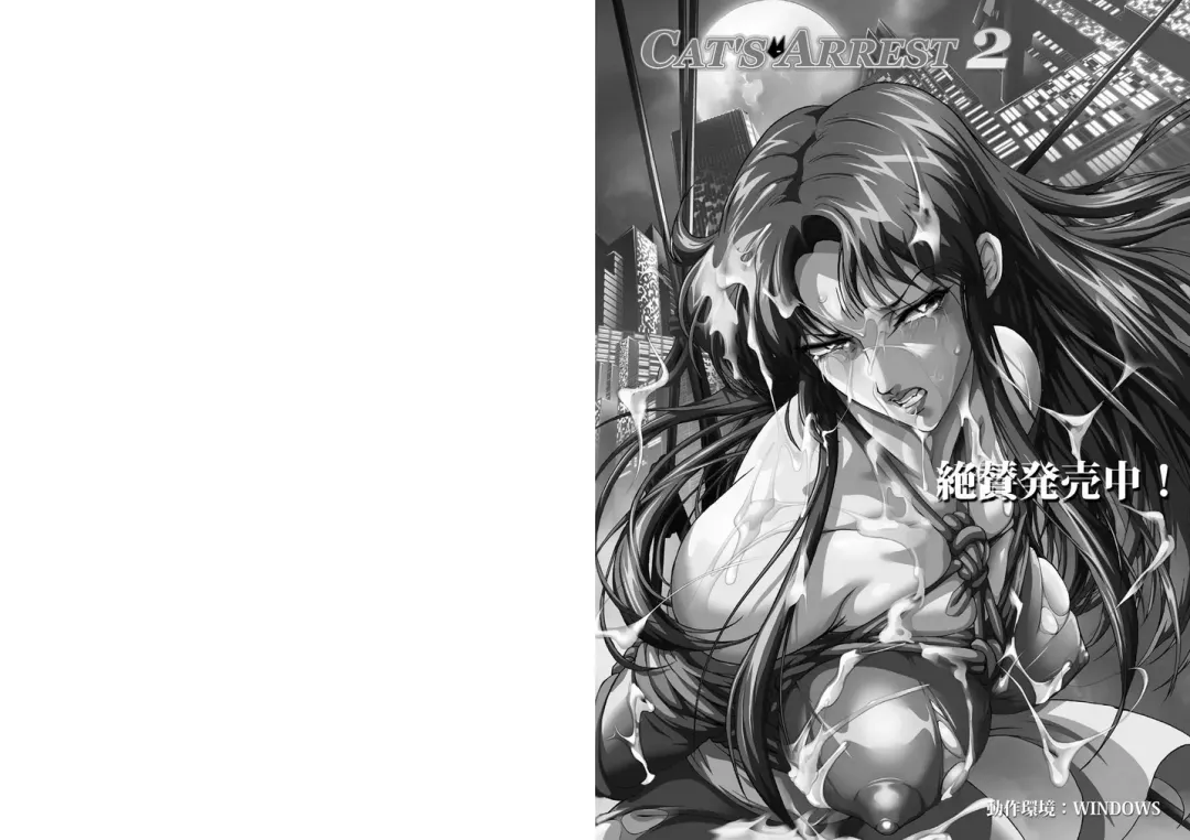 [Gingitsune] In Chun-Li Do -Niku Goku no Onna Kakutouka- Fhentai - Page 14