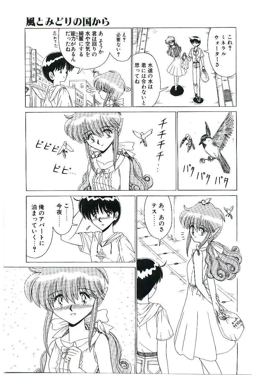 [Ruri Ruri] Kaze to Midori no Kuni kara Fhentai - Page 12
