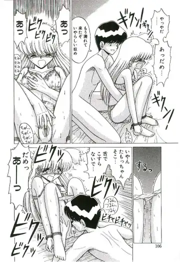 [Ruri Ruri] Kaze to Midori no Kuni kara Fhentai - Page 107