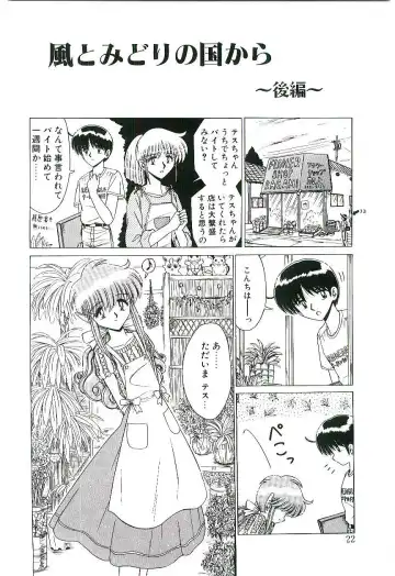 [Ruri Ruri] Kaze to Midori no Kuni kara Fhentai - Page 23
