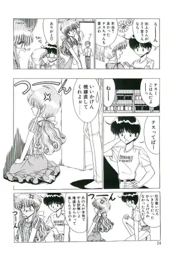 [Ruri Ruri] Kaze to Midori no Kuni kara Fhentai - Page 25