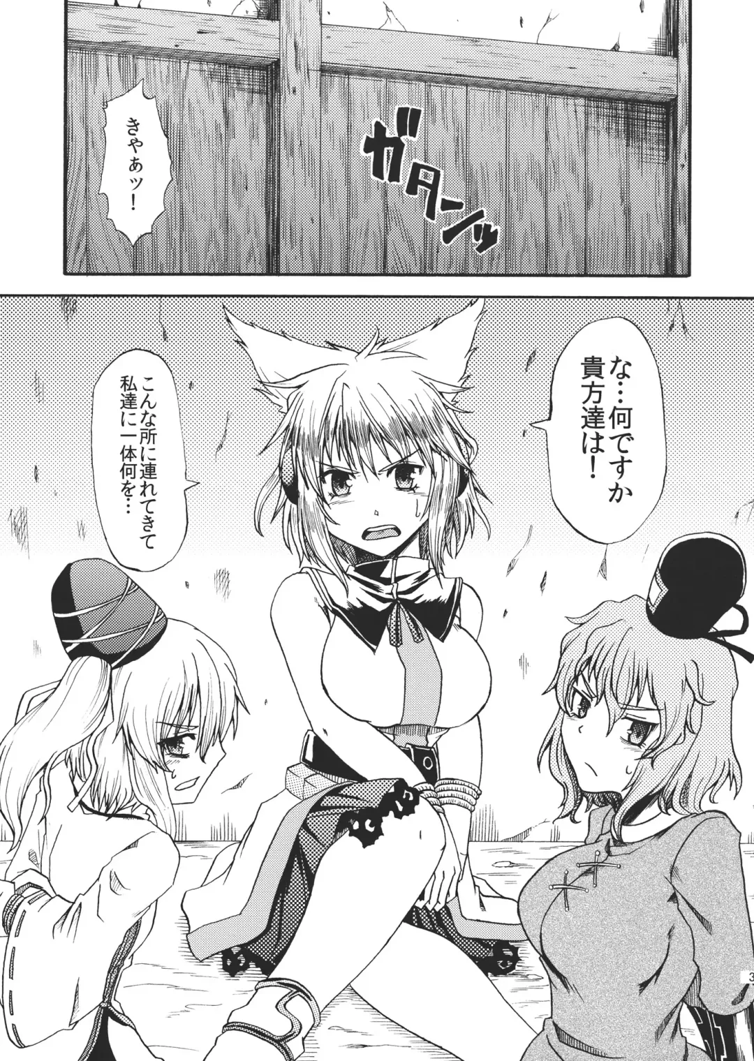 [Kuon Co.] Gouzoku Rape Fhentai - Page 3