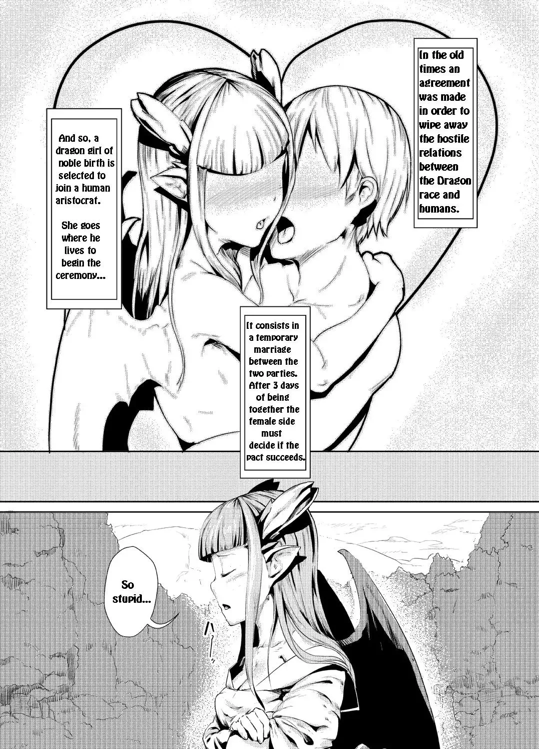 [Ahobaka] Ryuukainraku Fhentai - Page 2