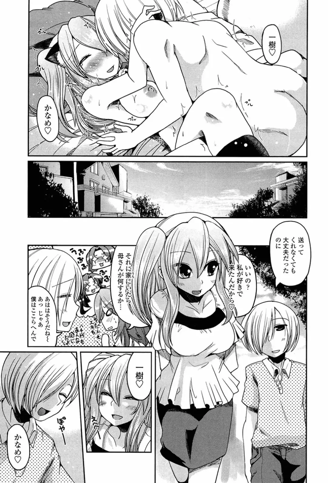 [Sawano Akira] Ani Omou Yue ni Imouto Ari Genteiban Fhentai - Page 117