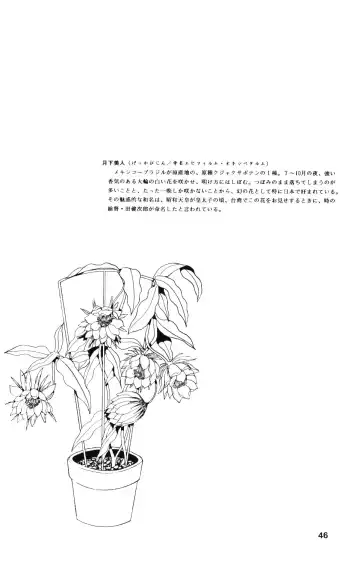 [Yoshino Shiho] Gekka Bijin Fhentai - Page 45