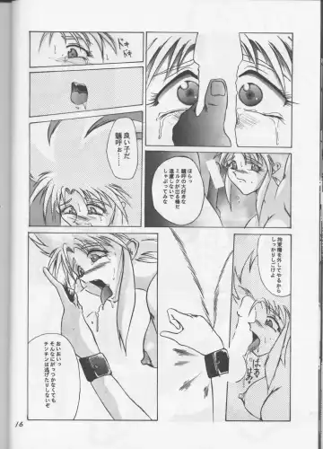 [Waka] Shadow=Defence Fhentai - Page 15