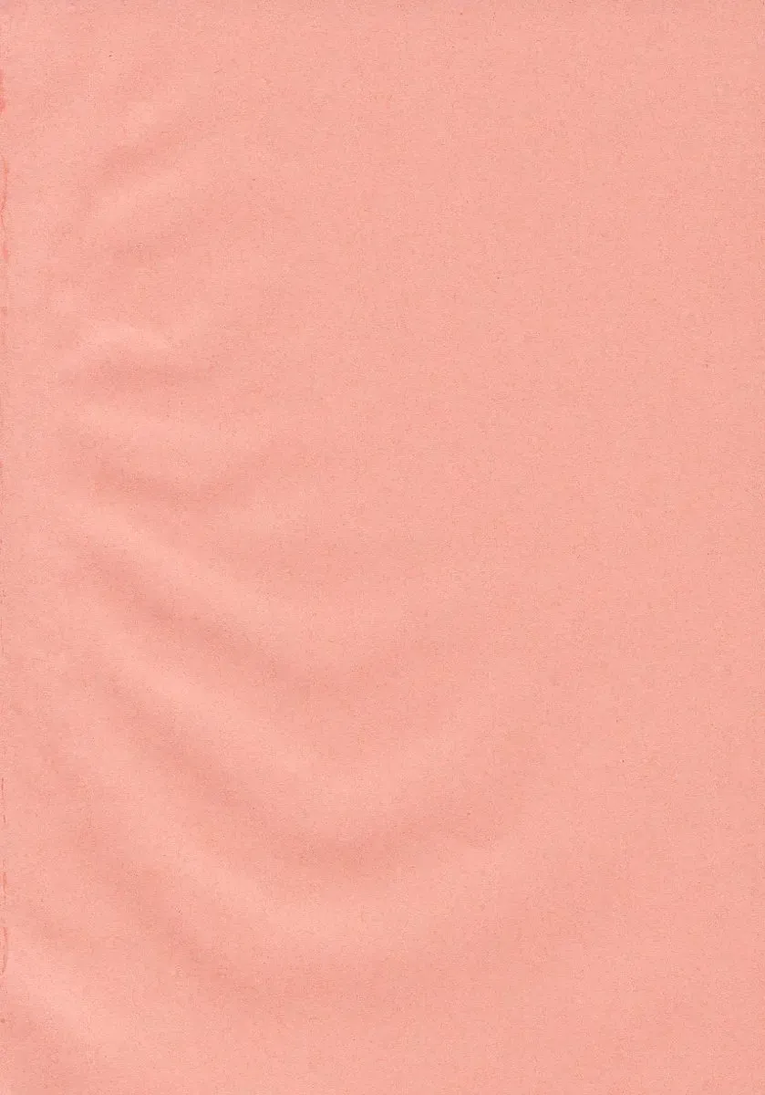 [Inui Sekihiko] Fiesta!! Fhentai - Page 168