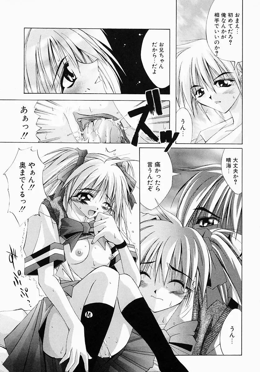 [Inui Sekihiko] Fiesta!! Fhentai - Page 24