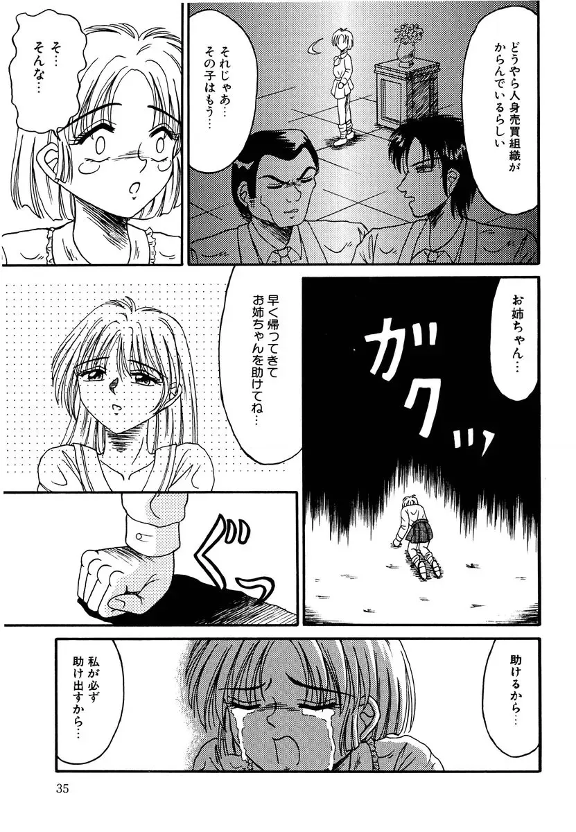 [Kesshousui] Otome no Seikanritsu Fhentai - Page 34