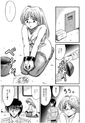 [Kesshousui] Otome no Seikanritsu Fhentai - Page 22