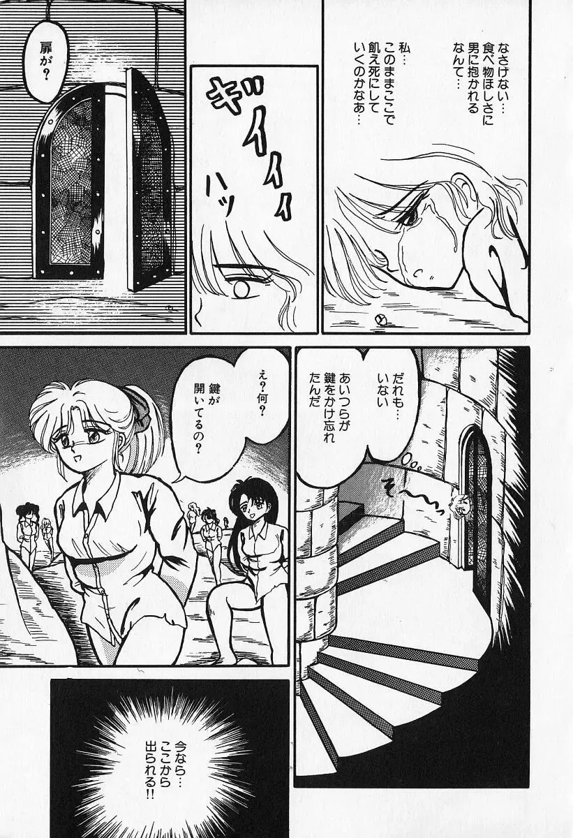 [Kesshousui] Otome no Negai Fhentai - Page 106
