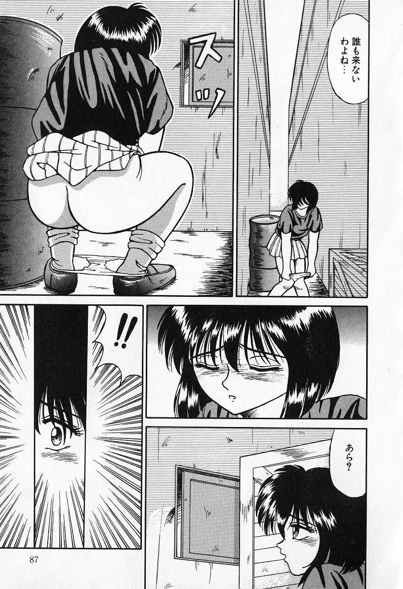 [Kesshousui] Otome no Negai Fhentai - Page 88