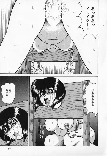 [Kesshousui] Otome no Negai Fhentai - Page 100