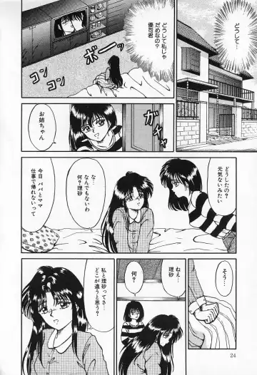[Kesshousui] Otome no Negai Fhentai - Page 25