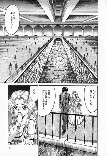 [Kesshousui] Otome no Negai Fhentai - Page 40