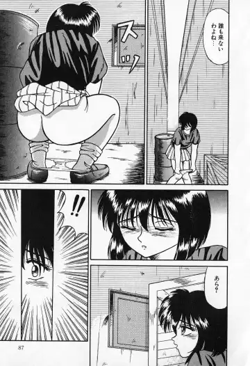 [Kesshousui] Otome no Negai Fhentai - Page 88