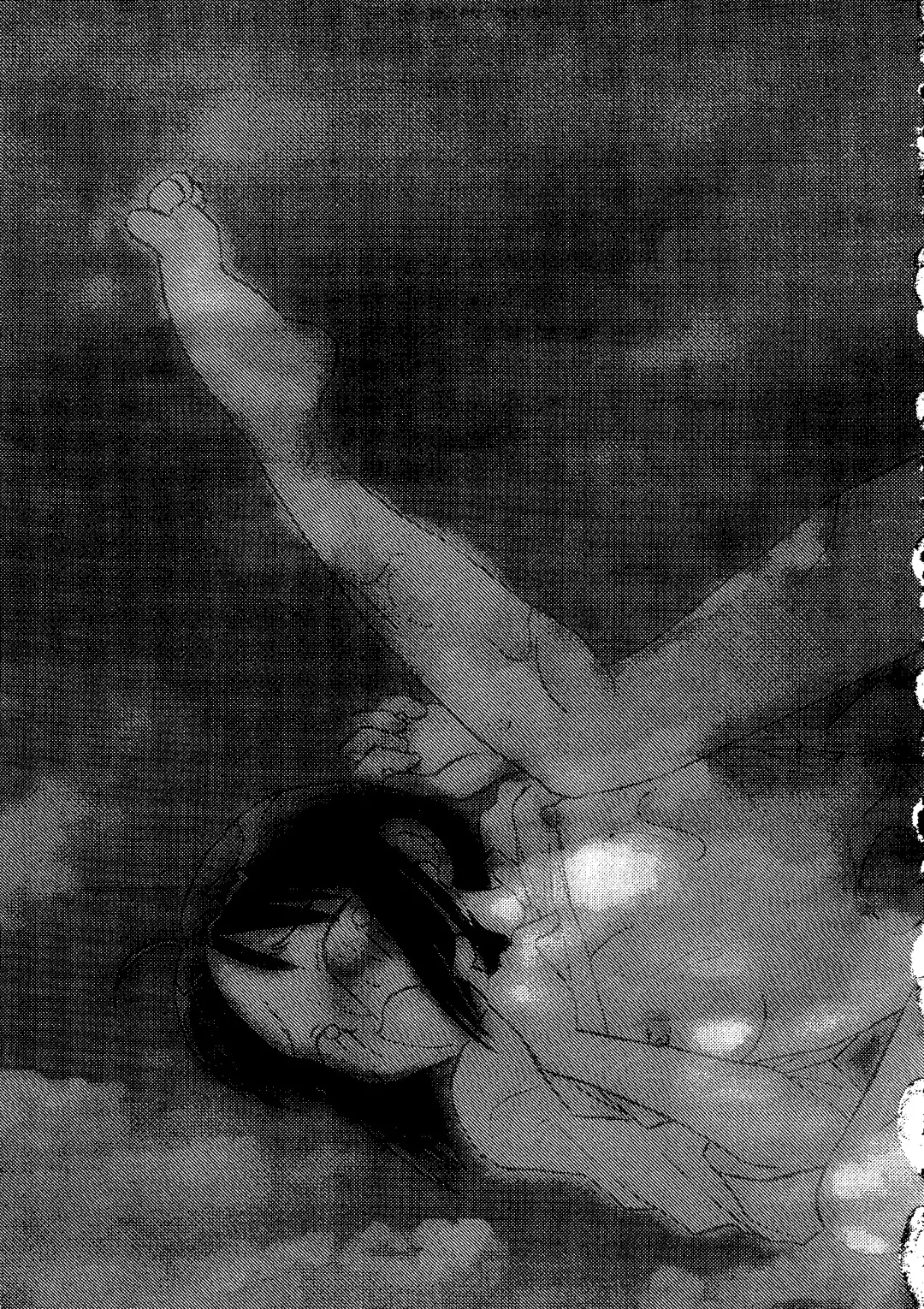 Naruhina-sou e Youkoso 2 Fhentai - Page 53